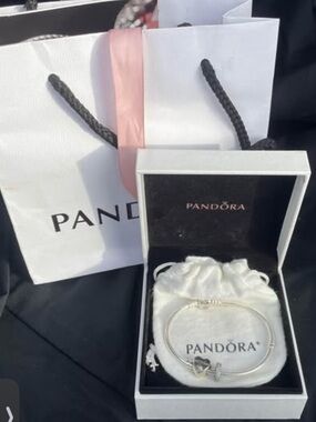 Pandora Moments Sterling Silver Bracelet with 2 Charms – New in Box